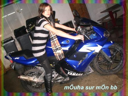 Muha sur mn Bb